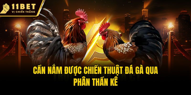 Cần nắm được chiến thuật đá gà qua phân thần kê